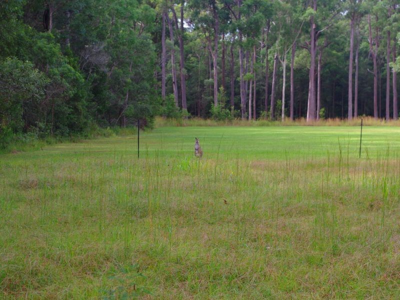 49 Iluka Circuit, Taree NSW 2430