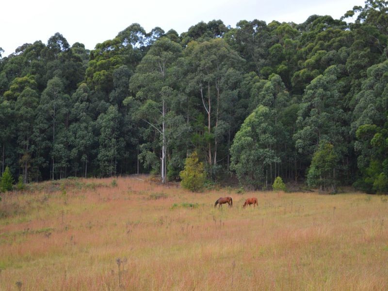 610 Wootton Way, Boolambayte NSW 2423