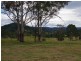 1001 Wherrol Flat Road, Wherrol Flat NSW 2429