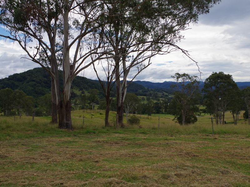 1001 Wherrol Flat Road, Wherrol Flat NSW 2429