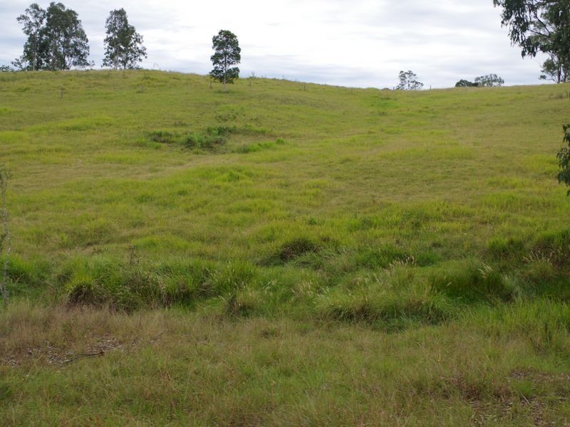 1001 Wherrol Flat Road, Wherrol Flat NSW 2429