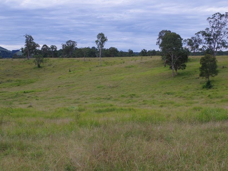 1001 Wherrol Flat Road, Wherrol Flat NSW 2429