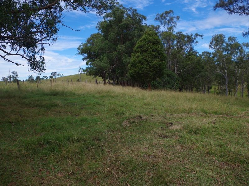 1001 Wherrol Flat Road, Wherrol Flat NSW 2429