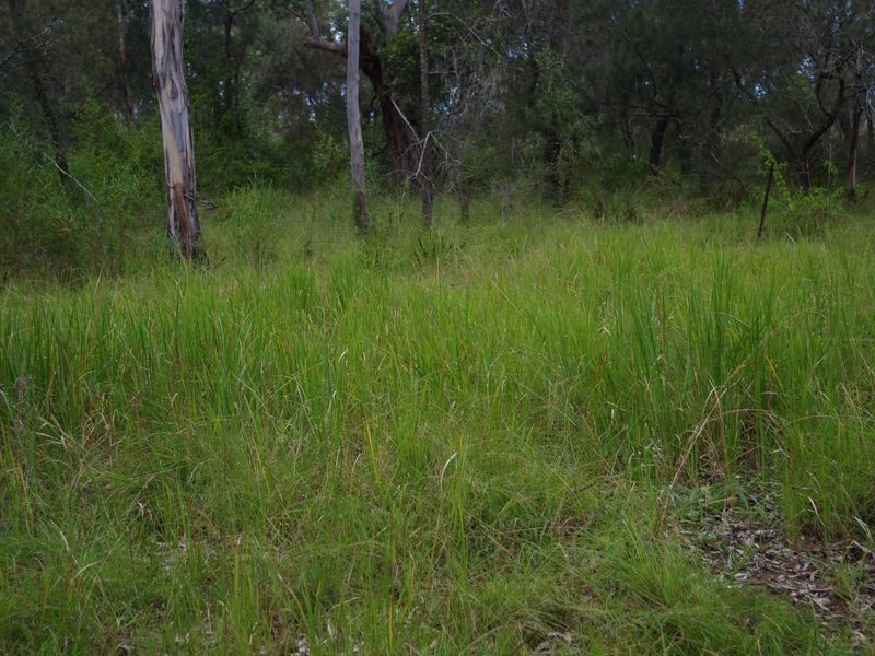 1001 Wherrol Flat Road, Wherrol Flat NSW 2429