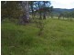 1001 Wherrol Flat Road, Wherrol Flat NSW 2429