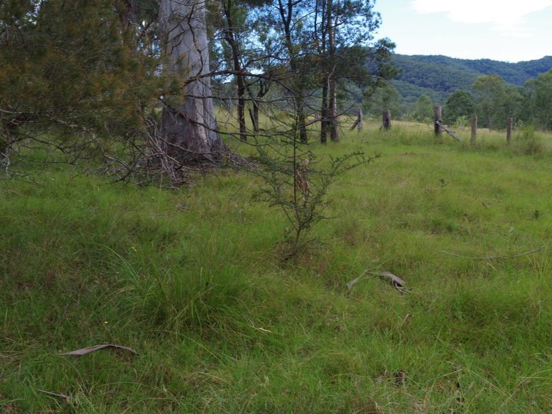 1001 Wherrol Flat Road, Wherrol Flat NSW 2429