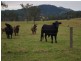 1001 Wherrol Flat Road, Wherrol Flat NSW 2429