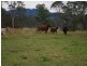 1001 Wherrol Flat Road, Wherrol Flat NSW 2429