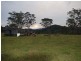 1001 Wherrol Flat Road, Wherrol Flat NSW 2429