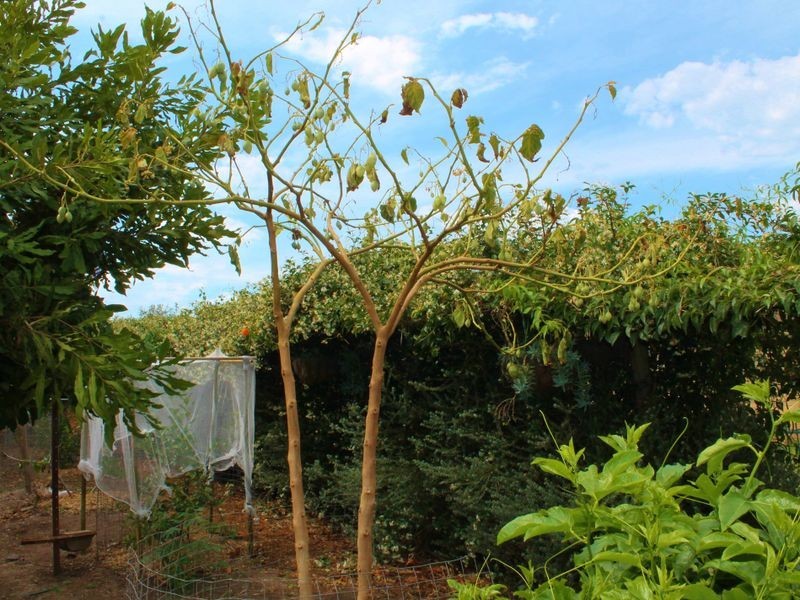 5 Pindari Crescent, Taree NSW 2430