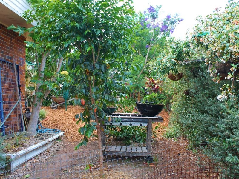 5 Pindari Crescent, Taree NSW 2430