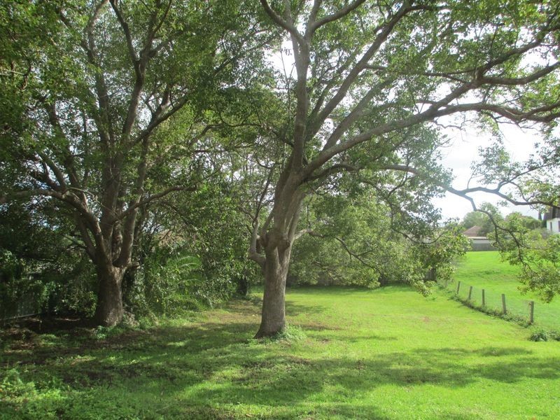 249 Victoria Street, Taree NSW 2430