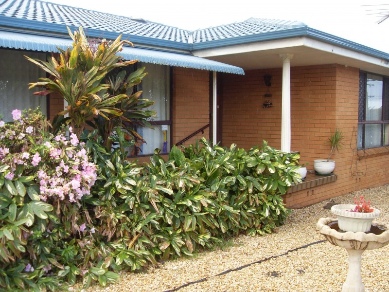 117 Cowper Street, Taree NSW 2430