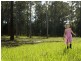 5 May Dries Close, Cundletown NSW 2430