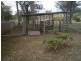 Wingham NSW 2429