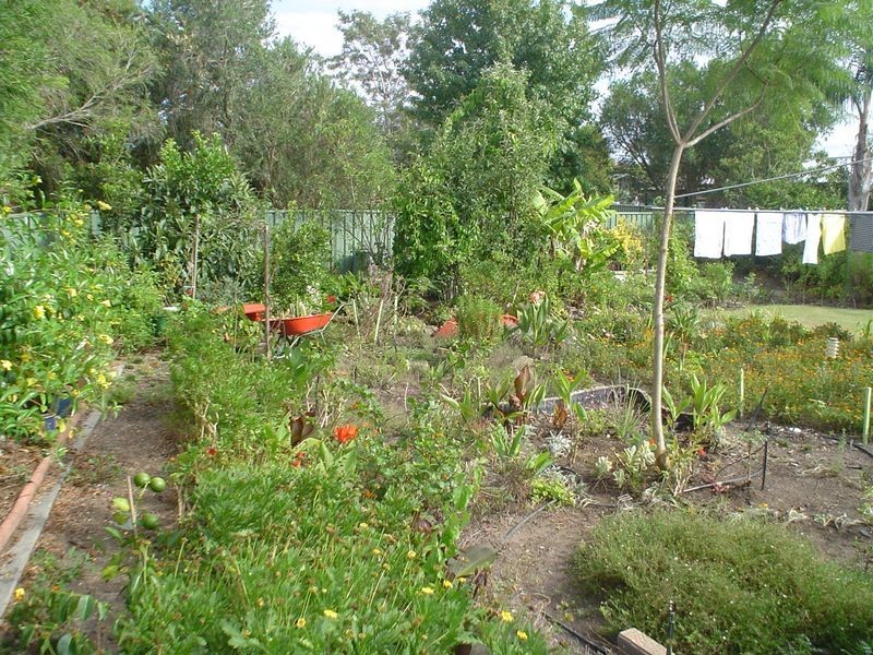 11 King Street, Cundletown NSW 2430