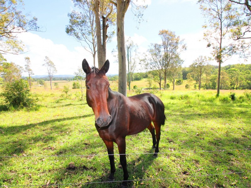 122 Koribah Lane, Dyers Crossing NSW 2429