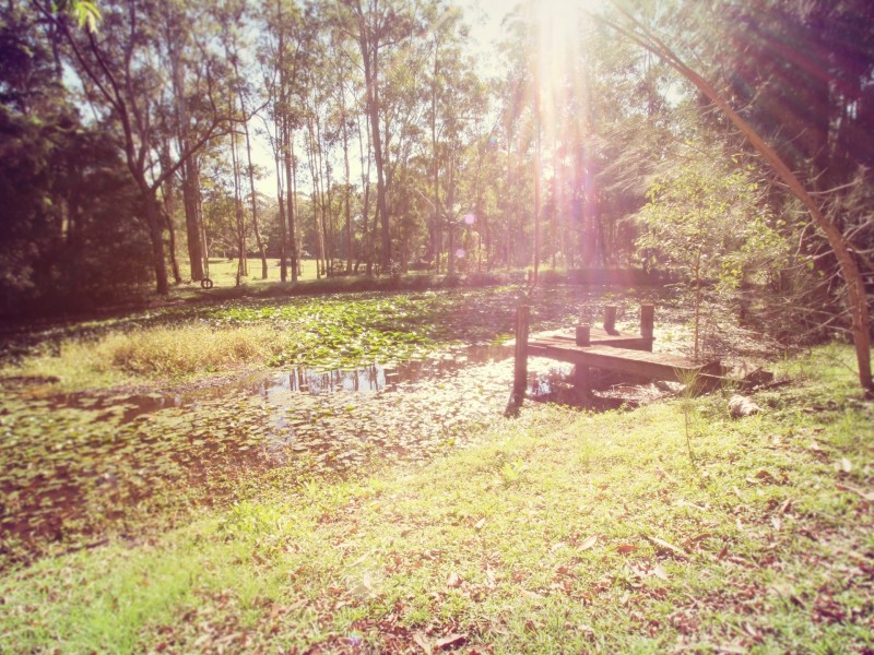 137 Central Lansdowne Road, Lansdowne NSW 2430