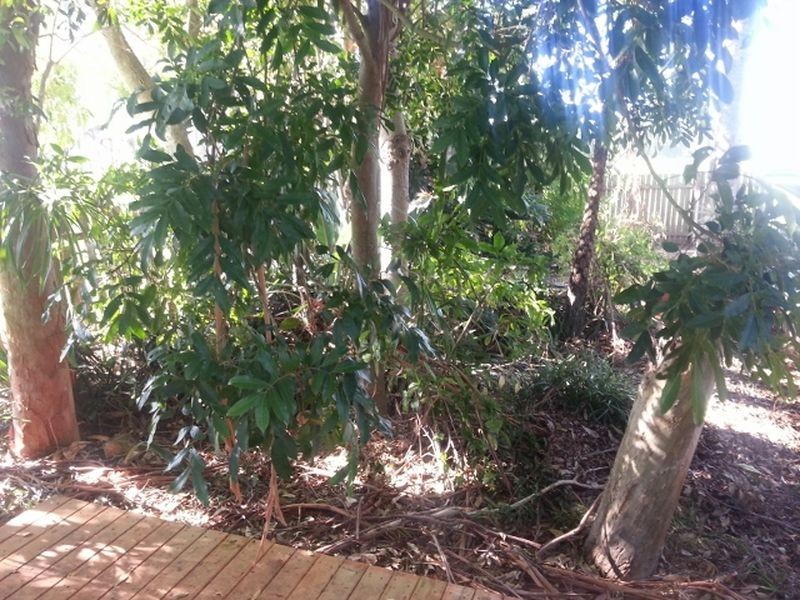 19 Ferry Road, Croki NSW 2430