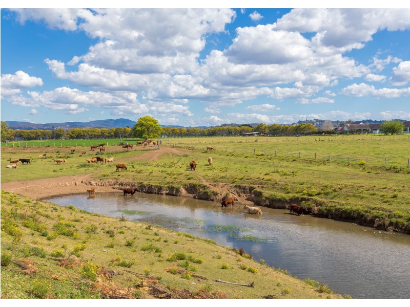 25 Petken Drive, Taree NSW 2430