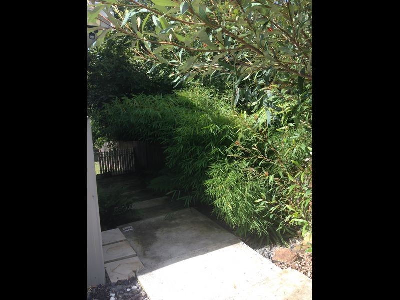 20 Peverill Street, Tinonee NSW 2430