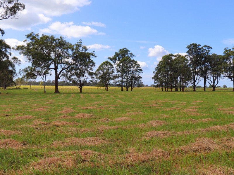 100 Old Lansdowne Road, Cundletown NSW 2430