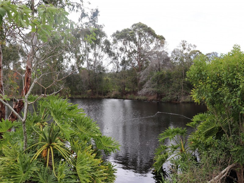 522 Wingham Road, Taree NSW 2430