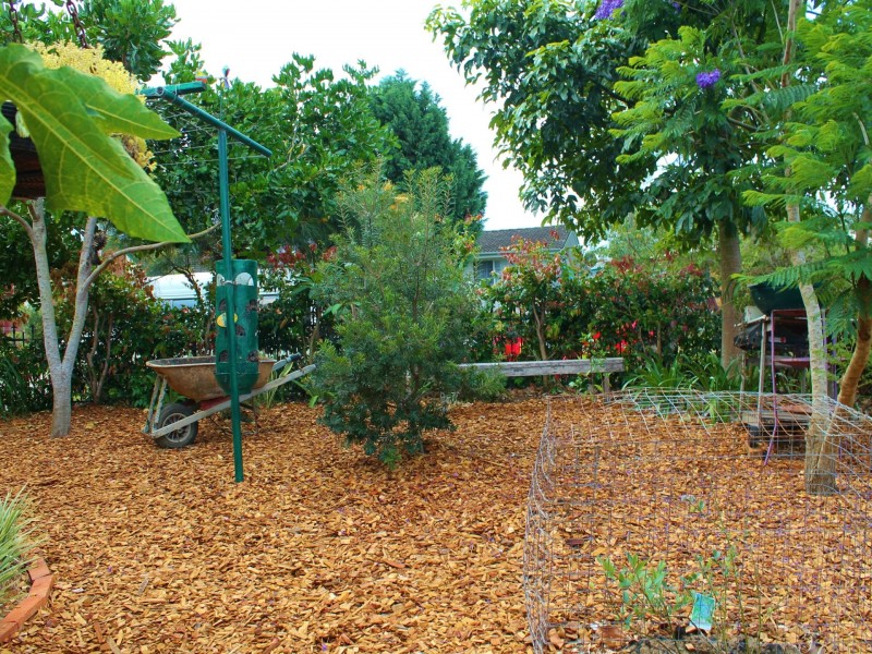 5 Pindari Cescent, Taree NSW 2430