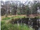 116 Gloucester Road, Burrell Creek NSW 2429