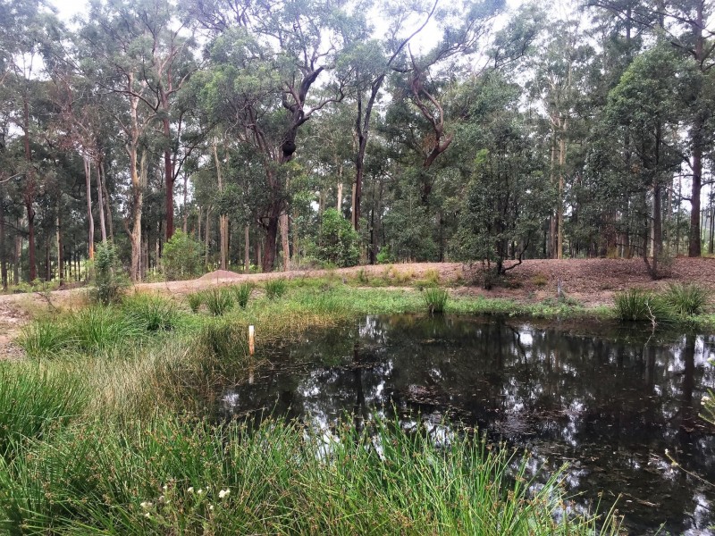 116 Gloucester Road, Burrell Creek NSW 2429