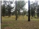 116 Gloucester Road, Burrell Creek NSW 2429