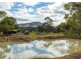 308 Youngs Road, Wingham NSW 2429