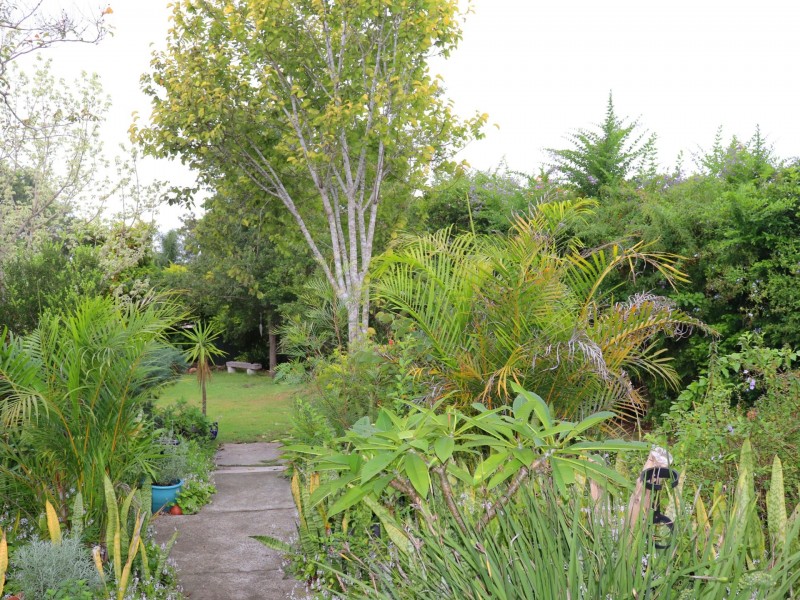 21 Queen Street, Wingham NSW 2429