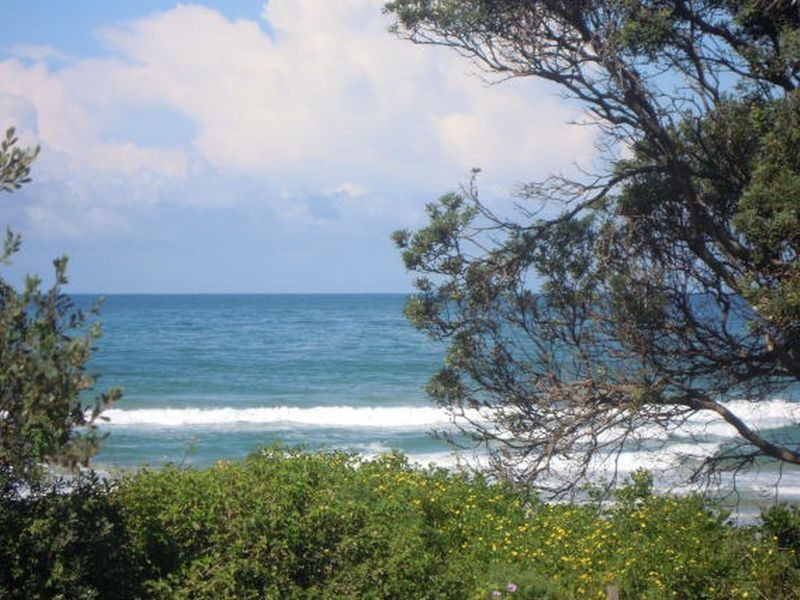 41B Pacific Parade, Old Bar NSW 2430