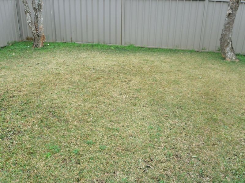 1/424 Kolodong Road, Taree NSW 2430