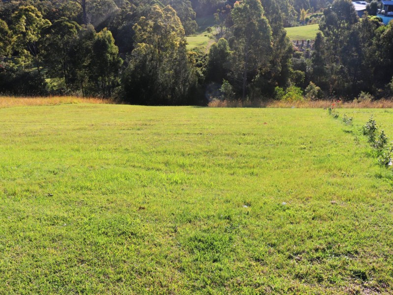 5 The Saddle, Tallwoods Village NSW 2430