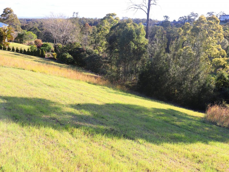 5 The Saddle, Tallwoods Village NSW 2430