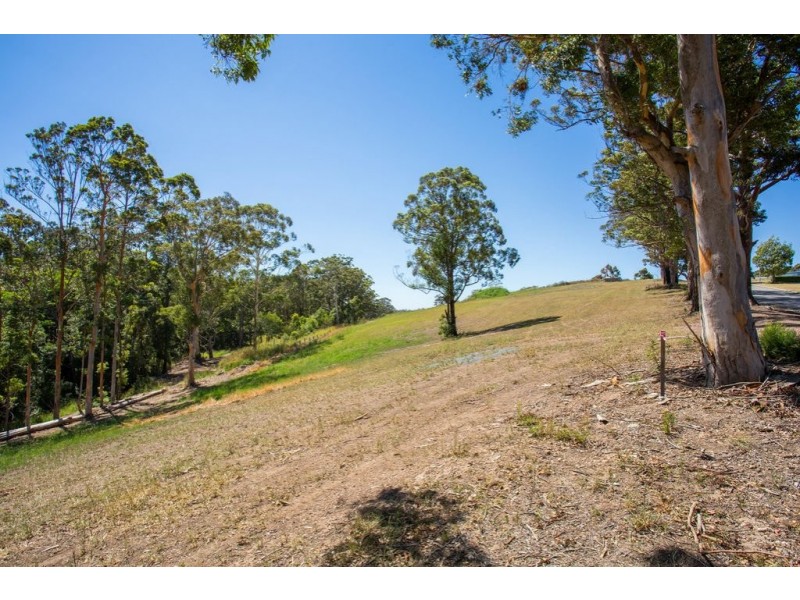 Lot 24 Coastal View Drive, Tallwoods Village NSW 2430