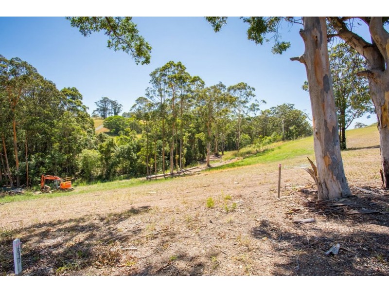 Lot 24 Coastal View Drive, Tallwoods Village NSW 2430