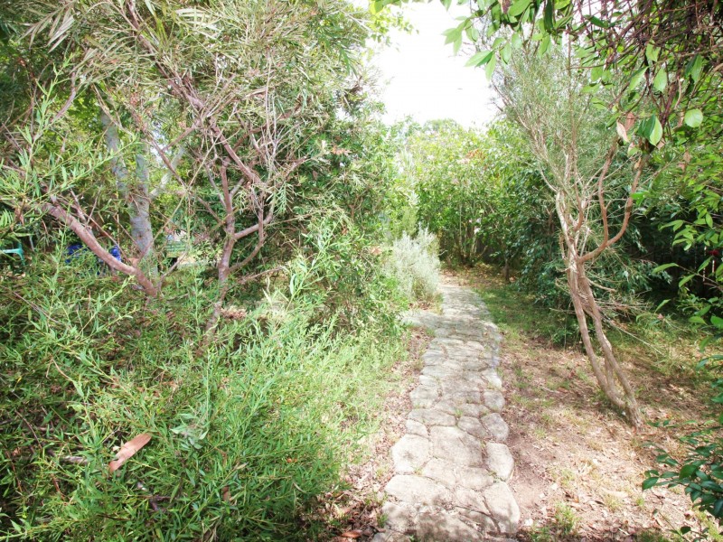 20 Peveril Street, Tinonee NSW 2430