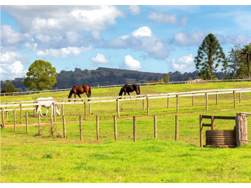 136 Mondrook Lane, Mondrook NSW 2430