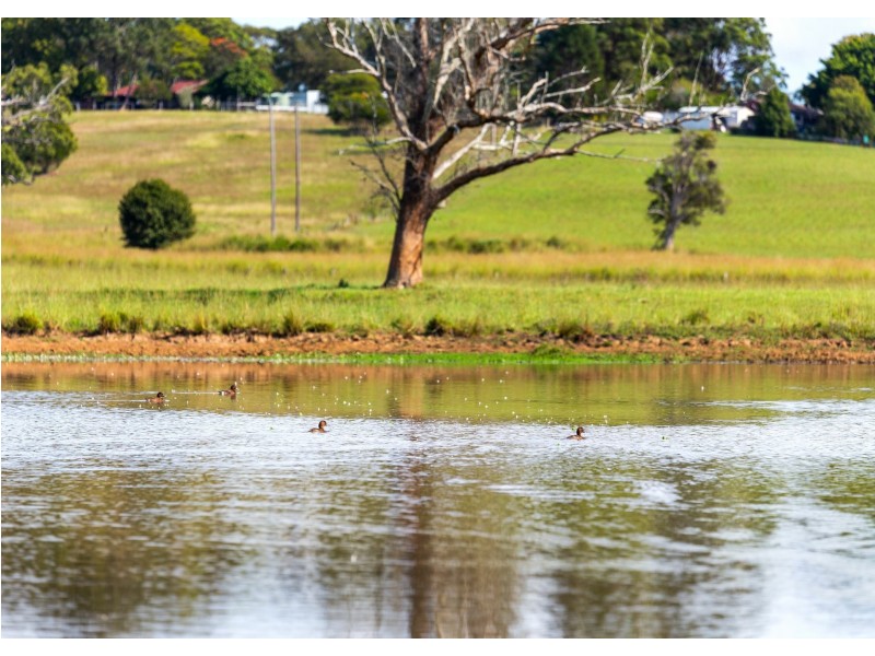 136 Mondrook Lane, Mondrook NSW 2430