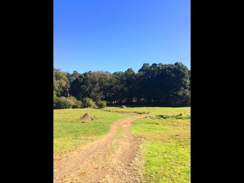 20 Carmody Lane, Upper Lansdowne NSW 2430