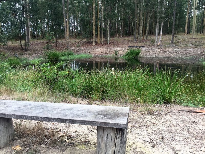 116 Gloucester Rd, Burrell Creek NSW 2429