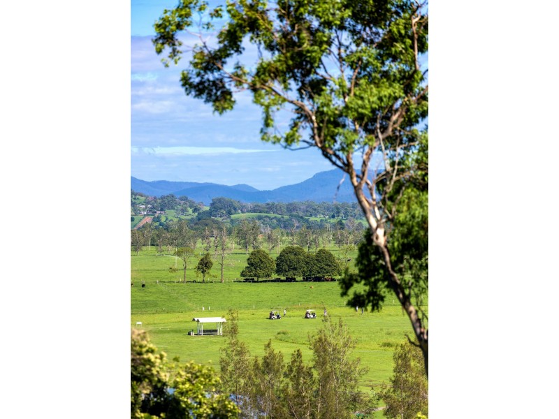 2a Riverlinks Court, Taree NSW 2430