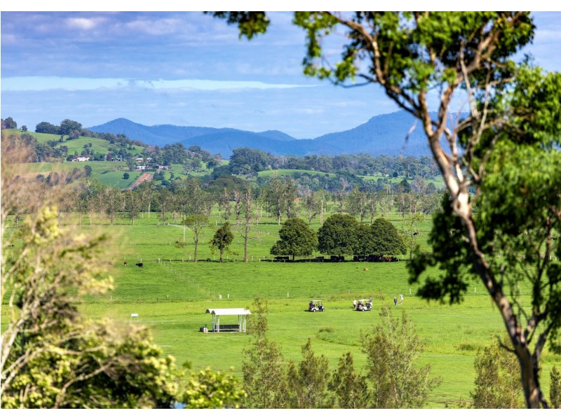 2a Riverlinks Court, Taree NSW 2430