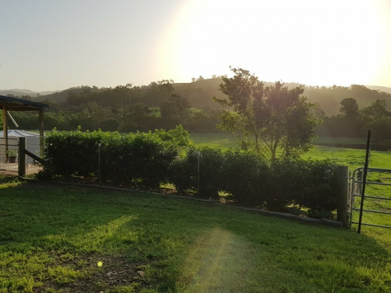 Burrell Creek NSW 2429