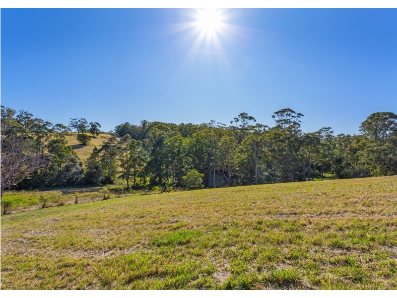 6 Torside Close, Tallwoods Village NSW 2430