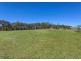 423 Comboyne Road, Wingham NSW 2429