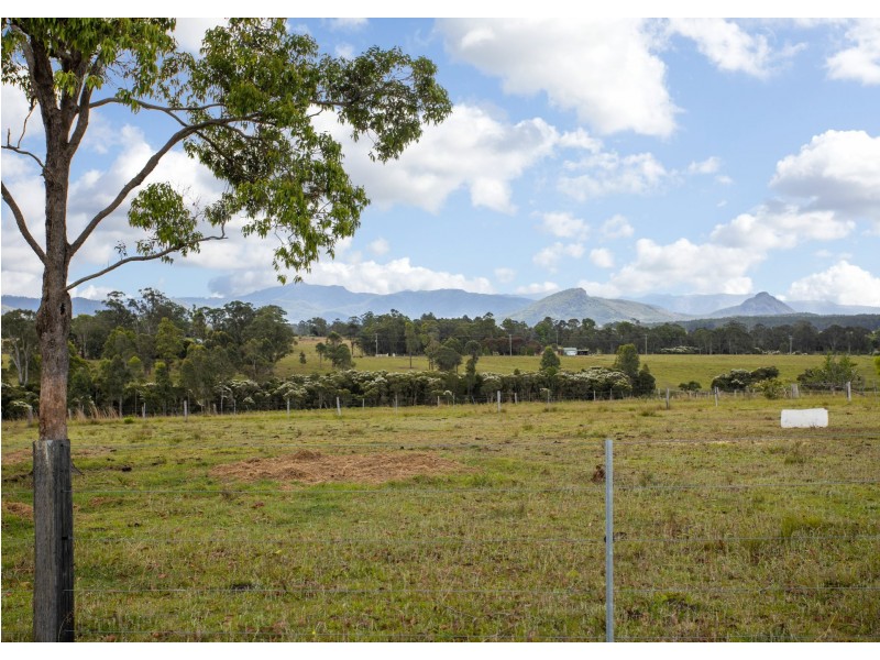 1096 Comboyne Road, Cedar Party NSW 2429